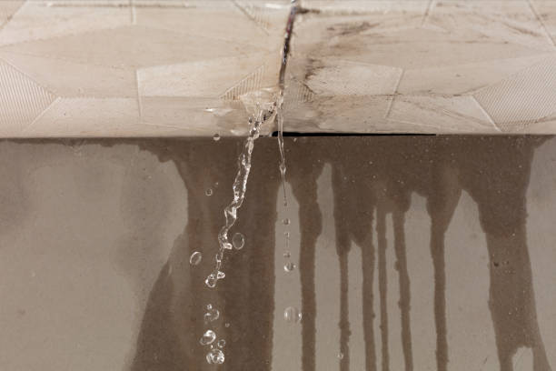Professional Water Damage Inspection technician working in Curtice, OH